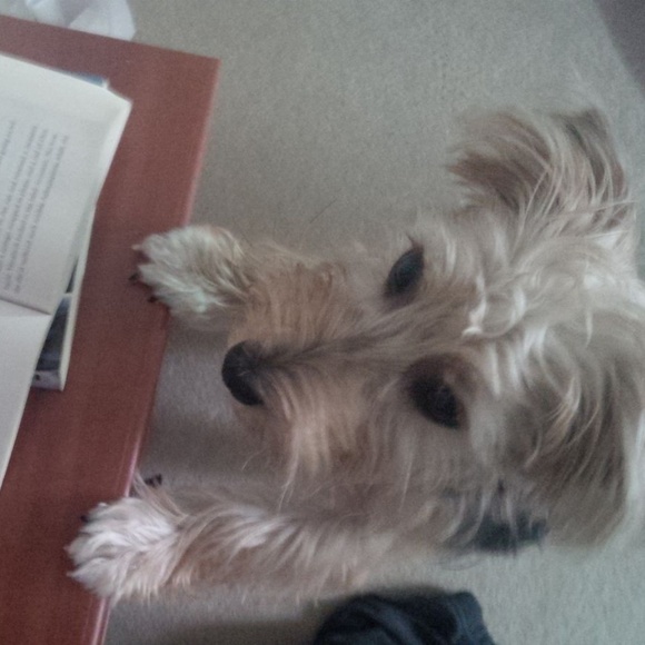 Welcome to my closet! :D - Picture 5 of 8